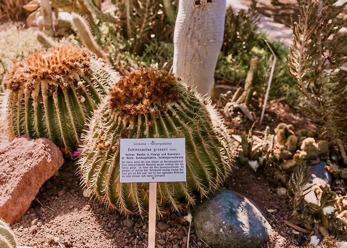 Sierra Del Mar Prázdninový dům Playa del Inglés