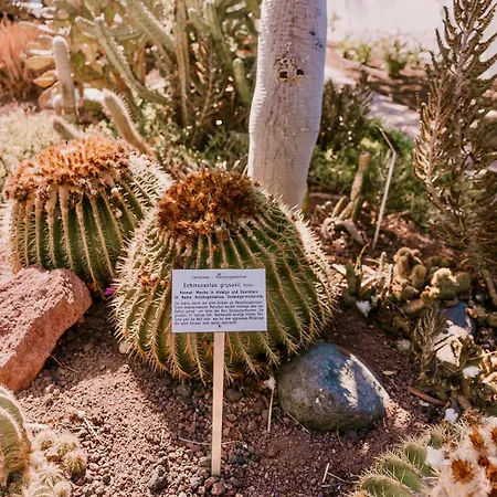Sierra Del Mar בית נופש פלאייה דל אינגלז